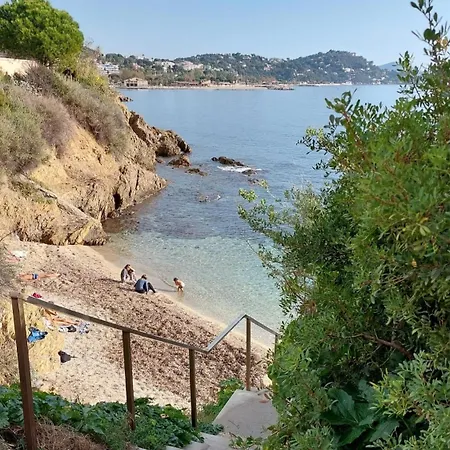 아파트 Refuge Chic A Des Pas Des Plages Du Mourillon